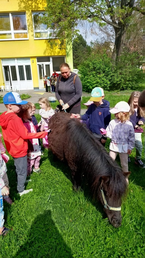 MŠ Mitušova – zvířátka ve školce, duben 2025