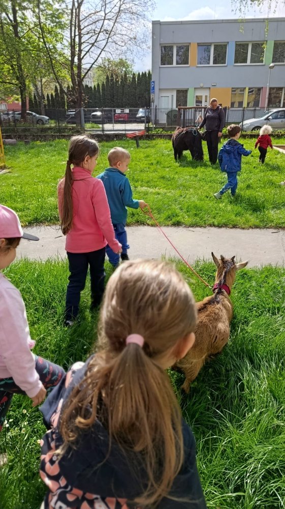 MŠ Mitušova – zvířátka ve školce, duben 2025