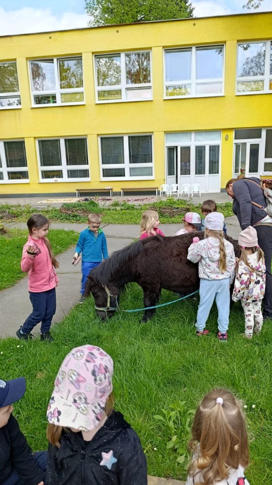 MŠ Mitušova – zvířátka ve školce, duben 2025