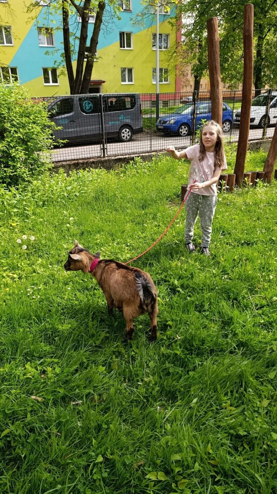 MŠ Mitušova – zvířátka ve školce, duben 2025