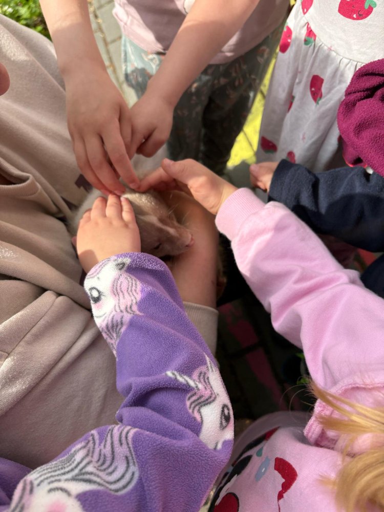 MŠ Mitušova – zvířátka ve školce, duben 2025