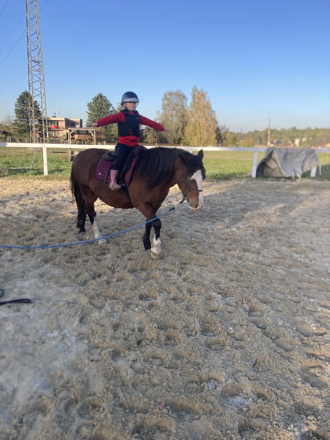 Koně a jezdecké aktivity na farmě