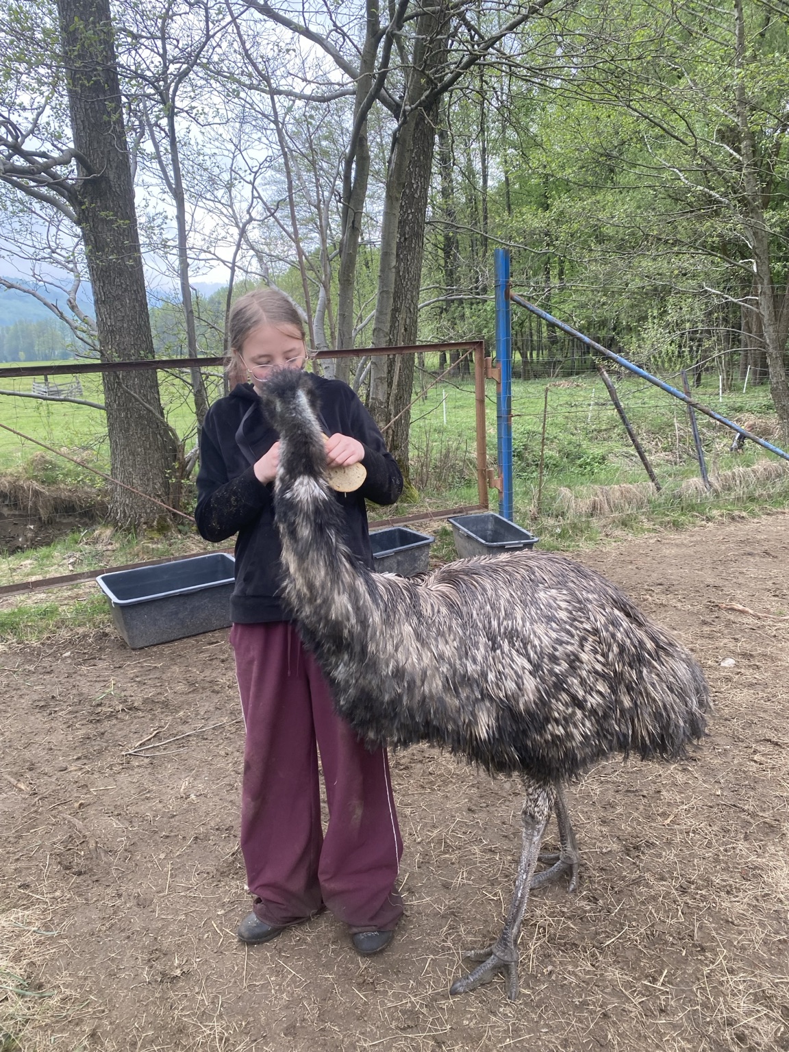 Setkání s emu na farmě