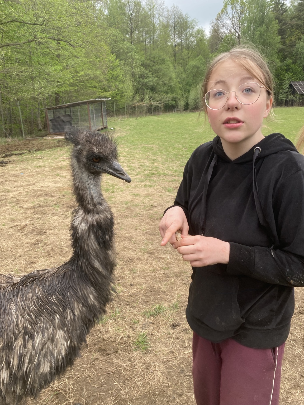 Setkání s emu na farmě