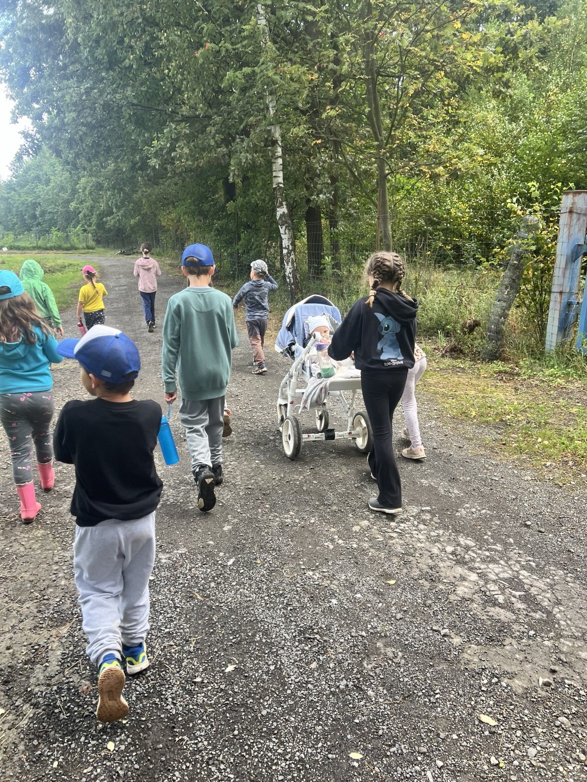 Procházka s poníkem