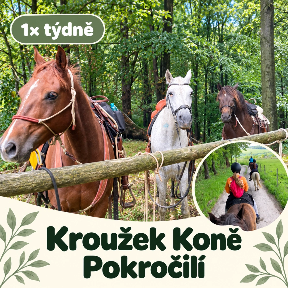 Kroužek koně - pokročilí