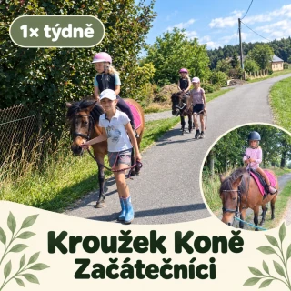 Kroužek Koně - začátečníci