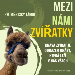Přiměstký tábor Mezi námi zvířátky 17 - 21. 8. 2026