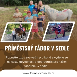 Příměstský tábor ,,v sedle" 13. - 17. 7. 2026